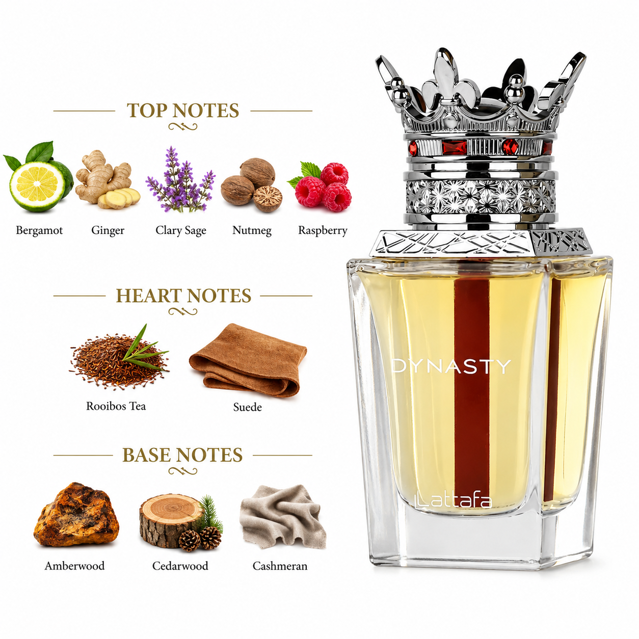 Fragrance note pyramid for Lattafa Dynasty, showing its top, heart and base notes