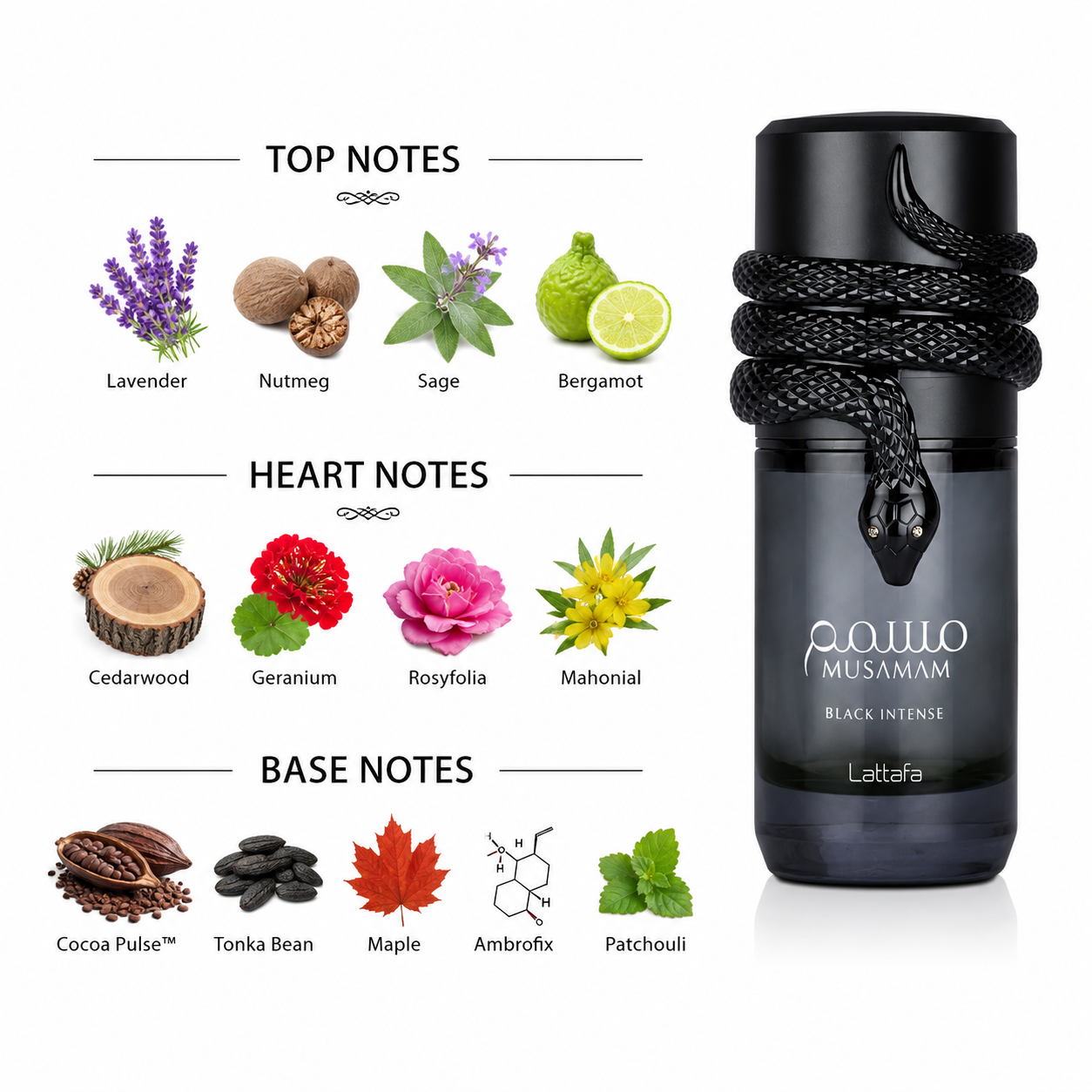 Fragrance note pyramid for Lattafa Musamam Black Intense, showing its top, heart and base notes